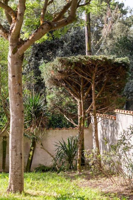 La Maison Des Epinouses Chaucre Extérieur photo